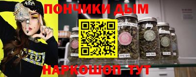 сатива Новозыбков
