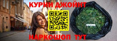 сатива Новозыбков