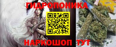 сатива Новозыбков