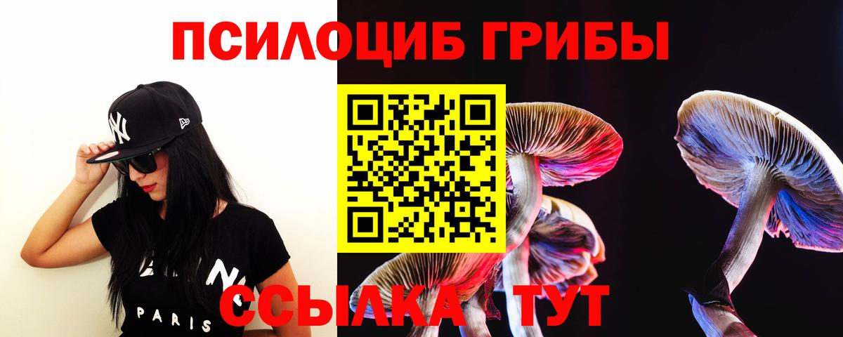 Псилоцибиновые грибы Psilocybe Чехов