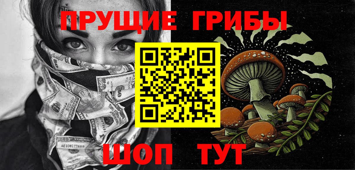 где можно купить   Вход с VPN  Галлюциногенные грибы GOLDEN TEACHER  Чехов  Галлюциногенные грибы Psilocybe 